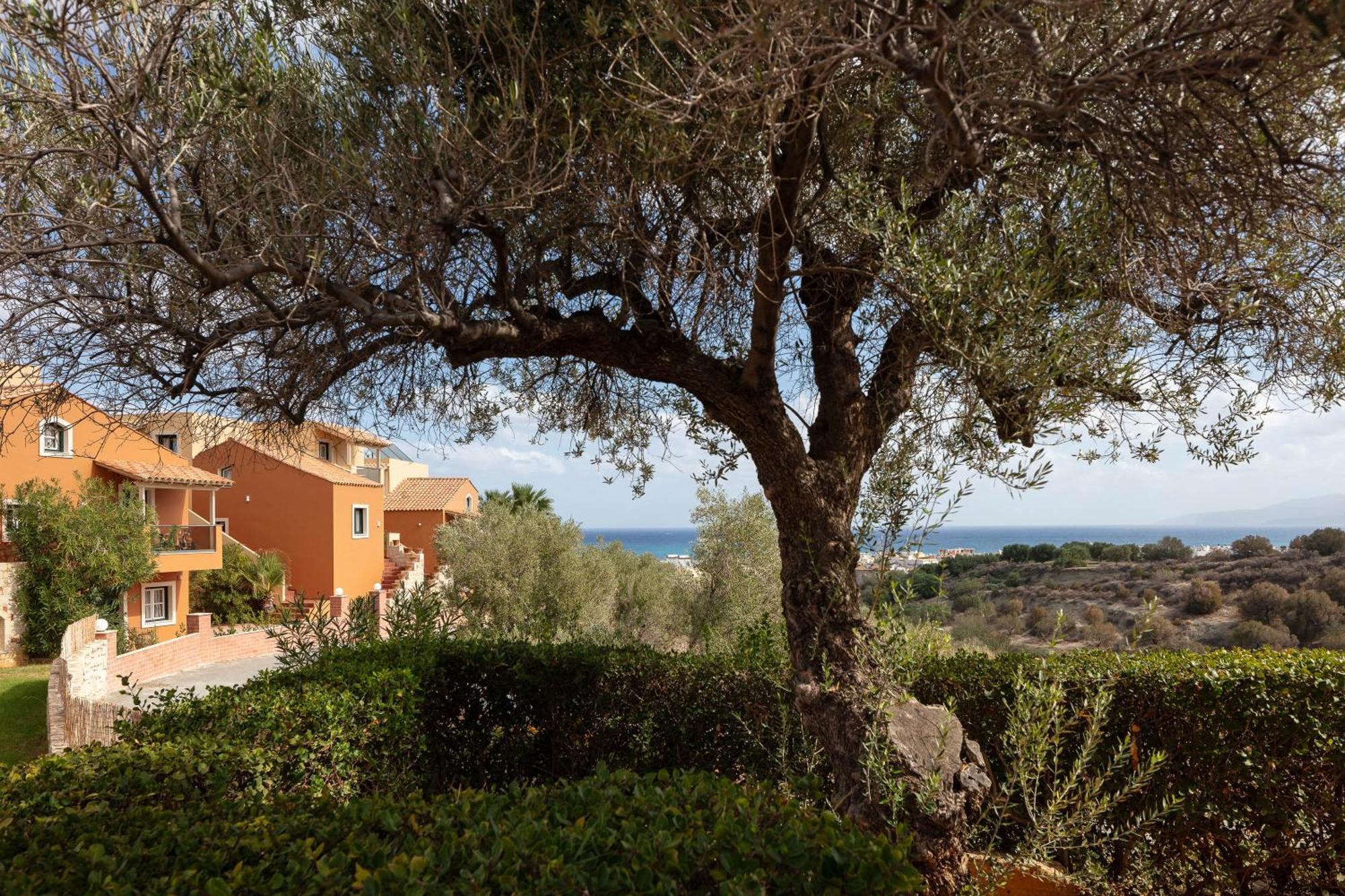 Dia Apartments Hersonissos  Eksteriør billede